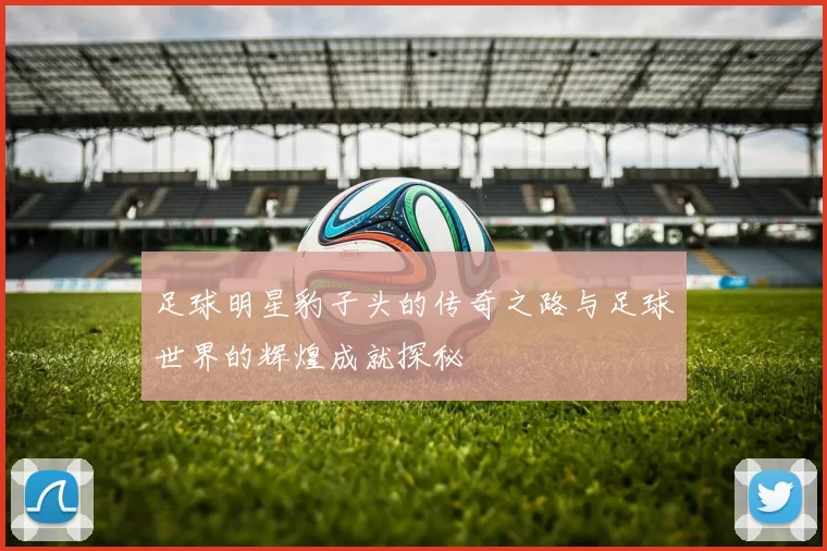 足球明星豹子头的传奇之路与足球世界的辉煌成就探秘