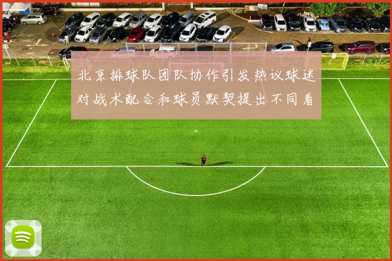 北京排球队团队协作引发热议球迷对战术配合和球员默契提出不同看法