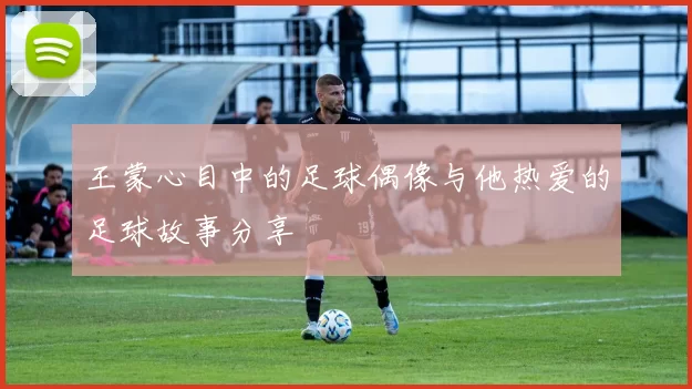 王蒙心目中的足球偶像与他热爱的足球故事分享