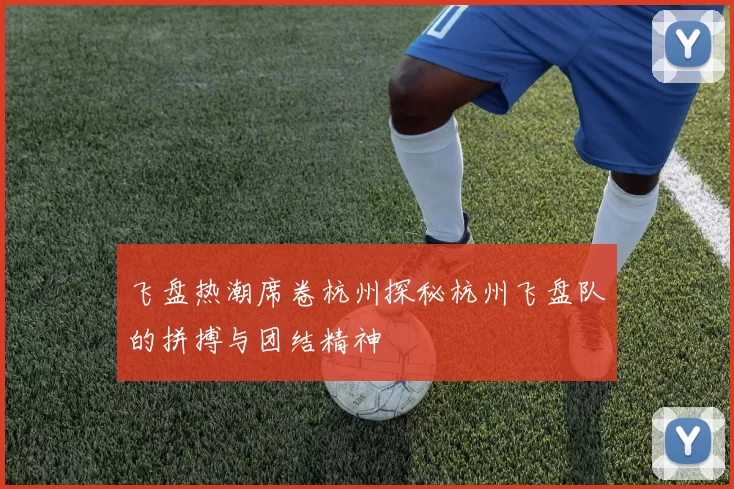 飞盘热潮席卷杭州探秘杭州飞盘队的拼搏与团结精神