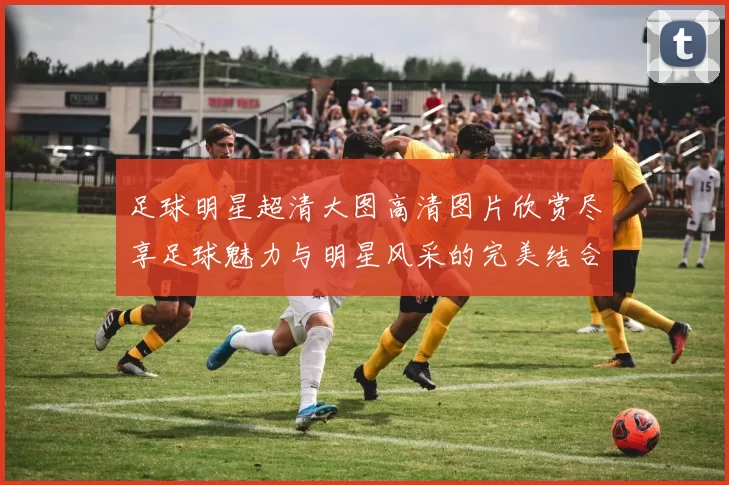 足球明星超清大图高清图片欣赏尽享足球魅力与明星风采的完美结合