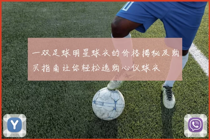一双足球明星球衣的价格揭秘及购买指南让你轻松选购心仪球衣