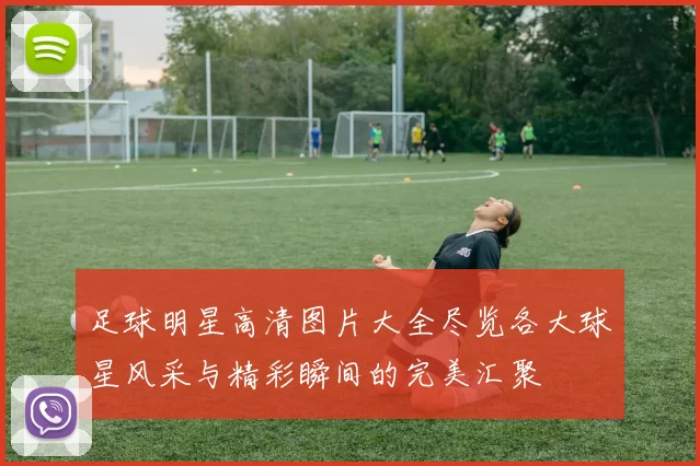 足球明星高清图片大全尽览各大球星风采与精彩瞬间的完美汇聚