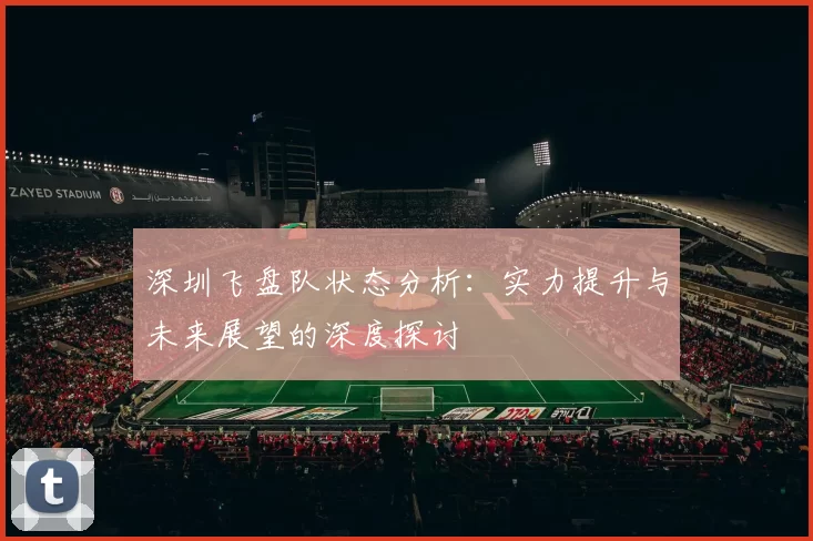 深圳飞盘队状态分析：实力提升与未来展望的深度探讨