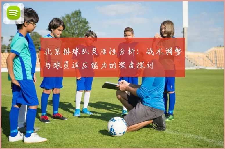 北京排球队灵活性分析：战术调整与球员适应能力的深度探讨