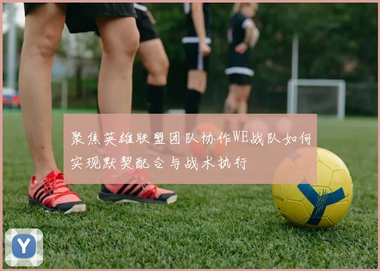 聚焦英雄联盟团队协作WE战队如何实现默契配合与战术执行