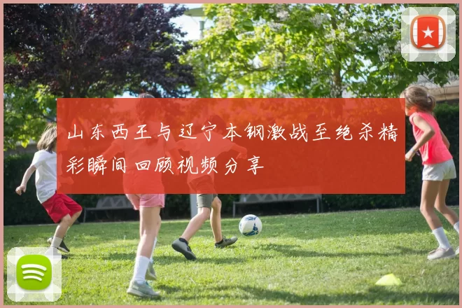 山东西王与辽宁本钢激战至绝杀精彩瞬间回顾视频分享