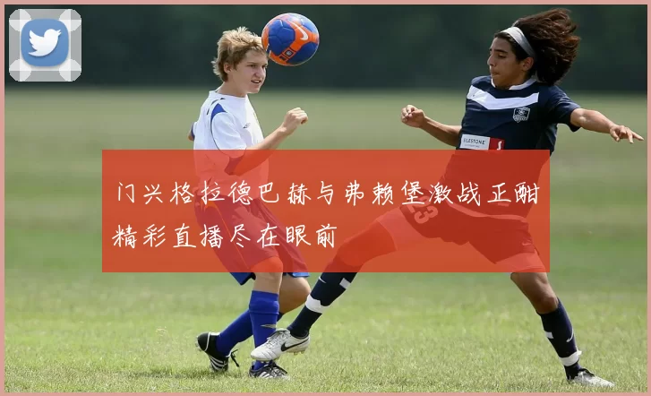 门兴格拉德巴赫与弗赖堡激战正酣精彩直播尽在眼前