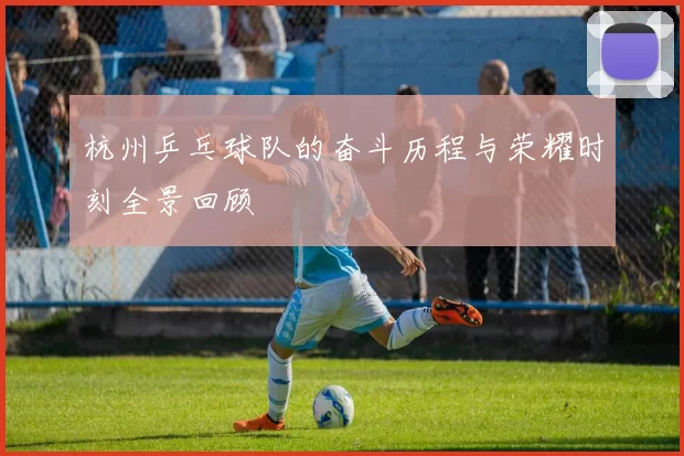 杭州乒乓球队的奋斗历程与荣耀时刻全景回顾