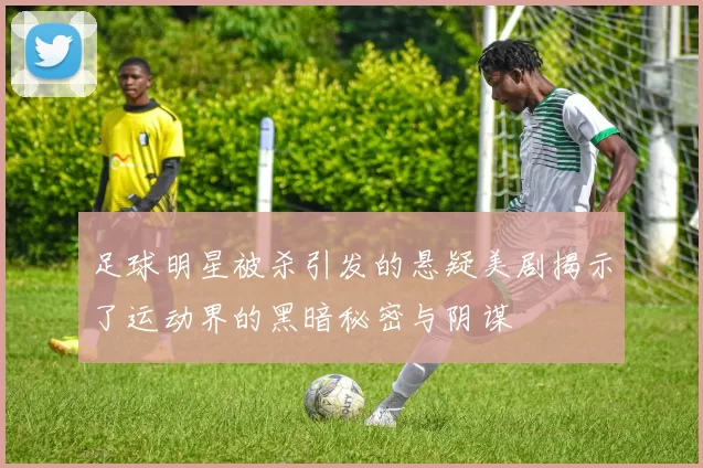 足球明星被杀引发的悬疑美剧揭示了运动界的黑暗秘密与阴谋
