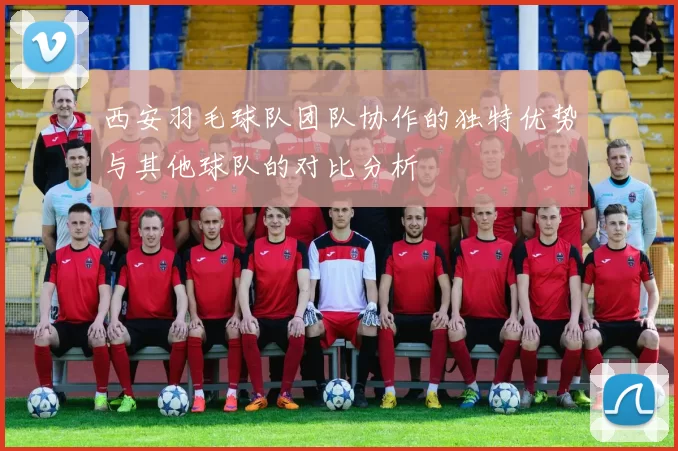 西安羽毛球队团队协作的独特优势与其他球队的对比分析